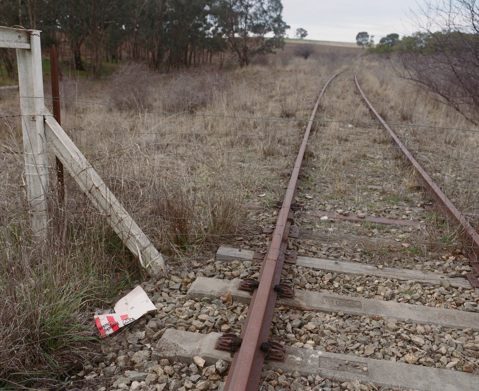 Young - 2026 — A discarded KFC box beside the disused railway line in Young